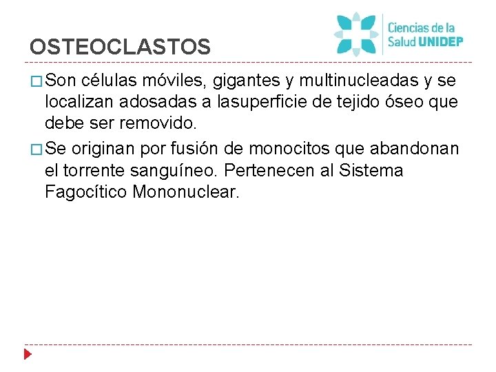 OSTEOCLASTOS � Son células móviles, gigantes y multinucleadas y se localizan adosadas a lasuperficie