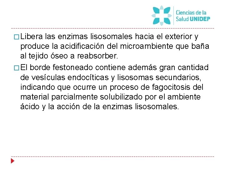 � Libera las enzimas lisosomales hacia el exterior y produce la acidificación del microambiente