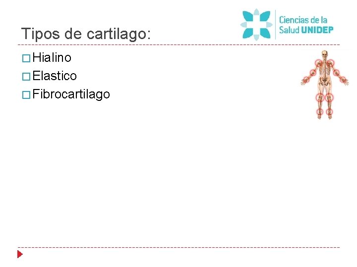 Tipos de cartilago: � Hialino � Elastico � Fibrocartilago 