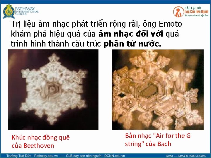 Trị liệu âm nhạc phát triển rộng rãi, ông Emoto khám phá hiệu quả