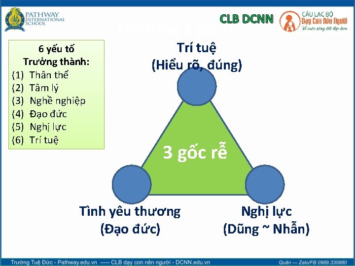 CLB DCNN Cân bằng 3 gốc rễ 6 yếu tố Trưởng thành: (1) Thân