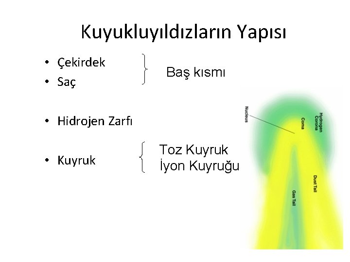 Kuyukluyıldızların Yapısı • Çekirdek • Saç Baş kısmı • Hidrojen Zarfı • Kuyruk Toz Kuyukluyıldızların Yapısı • Çekirdek • Saç Baş kısmı • Hidrojen Zarfı • Kuyruk Toz