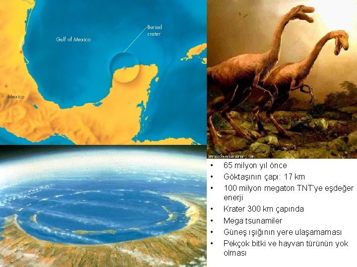 • • 65 milyon yıl önce Göktaşının çapı: 17 km 100 milyon megaton • • 65 milyon yıl önce Göktaşının çapı: 17 km 100 milyon megaton