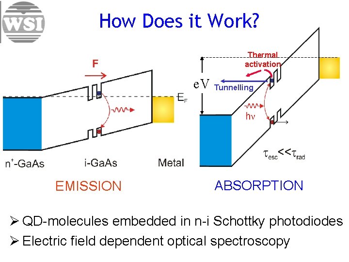 How Does it Work? Thermal activation e. V EMISSION Tunnelling ABSORPTION Ø QD-molecules embedded