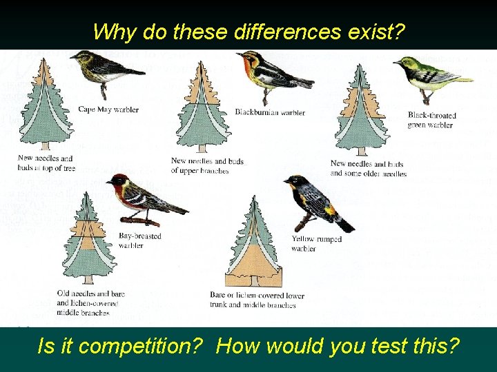 Why do these differences exist? Is it competition? How would you test this? 