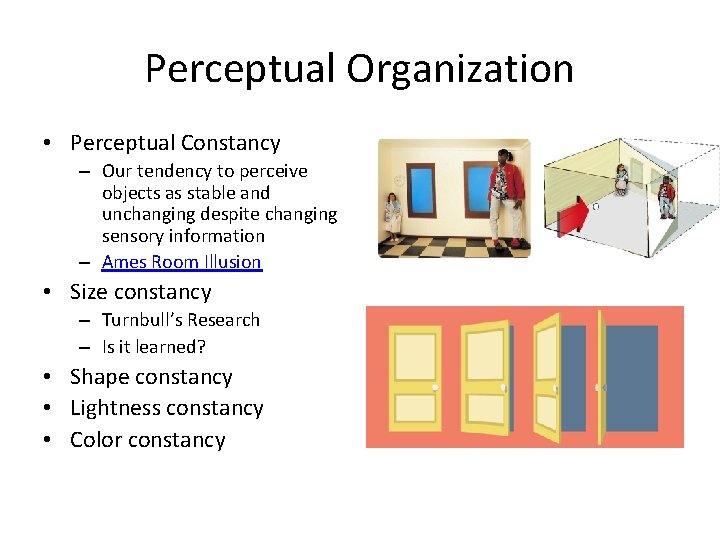 Perceptual Organization • Perceptual Constancy – Our tendency to perceive objects as stable and