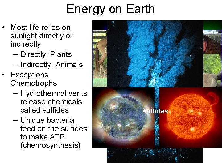 Energy on Earth • Most life relies on sunlight directly or indirectly – Directly: