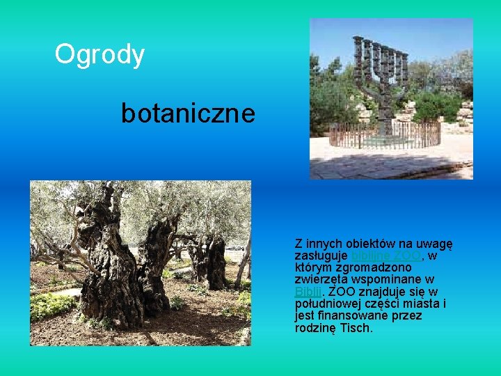 Ogrody botaniczne Z innych obiektów na uwagę zasługuje biblijne ZOO, w którym zgromadzono zwierzęta