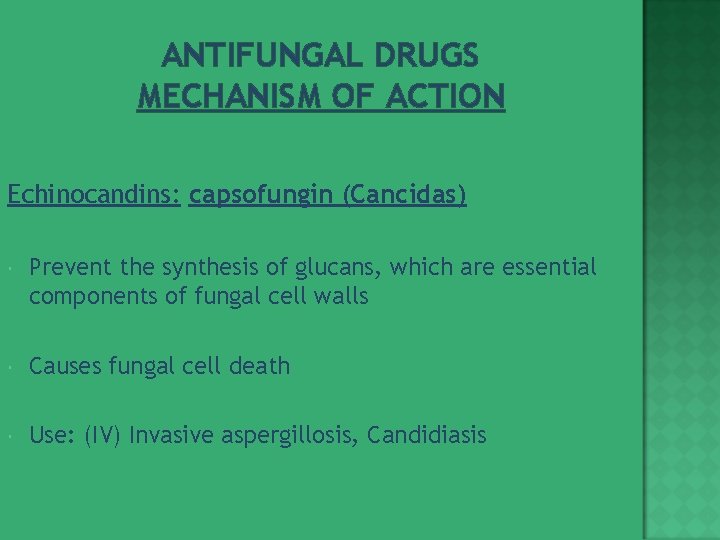 ANTIFUNGAL DRUGS MECHANISM OF ACTION Echinocandins: capsofungin (Cancidas) Prevent the synthesis of glucans, which