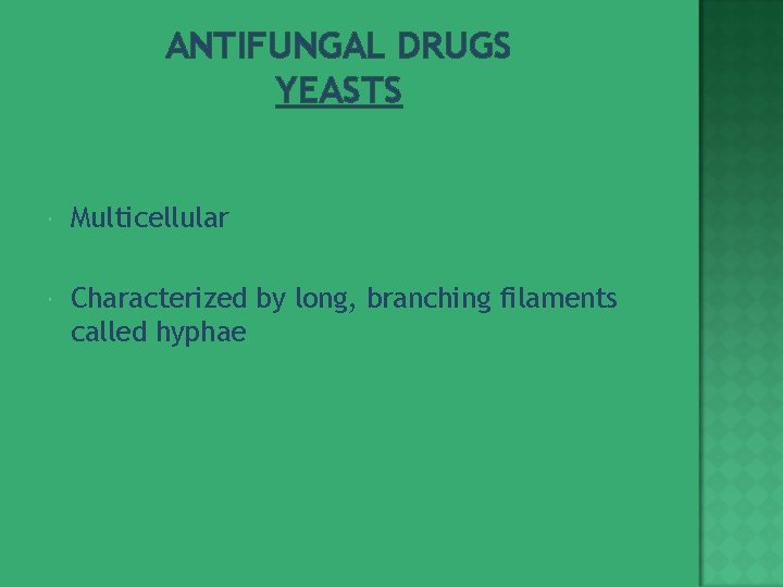 ANTIFUNGAL DRUGS YEASTS Multicellular Characterized by long, branching filaments called hyphae 