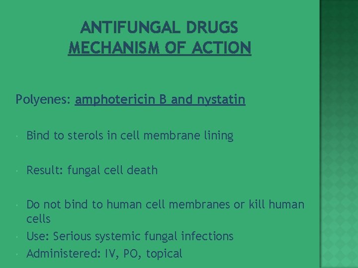 ANTIFUNGAL DRUGS MECHANISM OF ACTION Polyenes: amphotericin B and nystatin Bind to sterols in