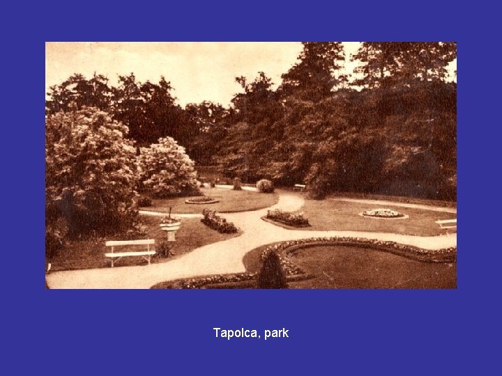 Tapolca, park 