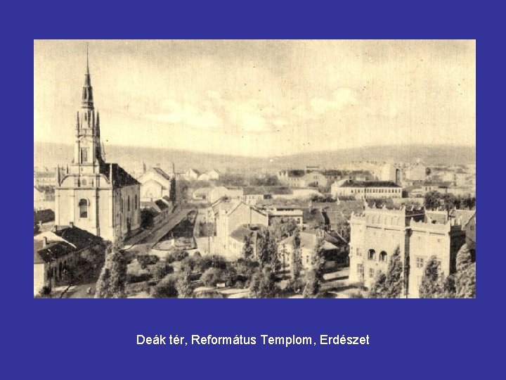 Deák tér, Református Templom, Erdészet 