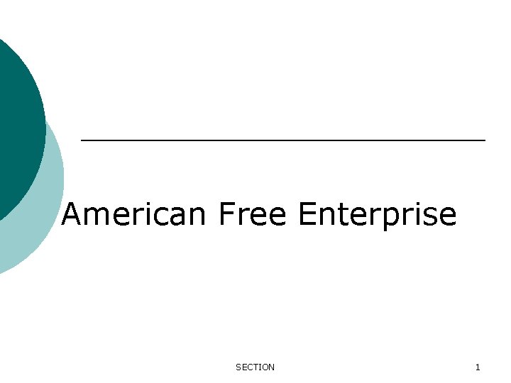 American Free Enterprise SECTION 1 
