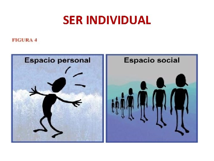 SER INDIVIDUAL 