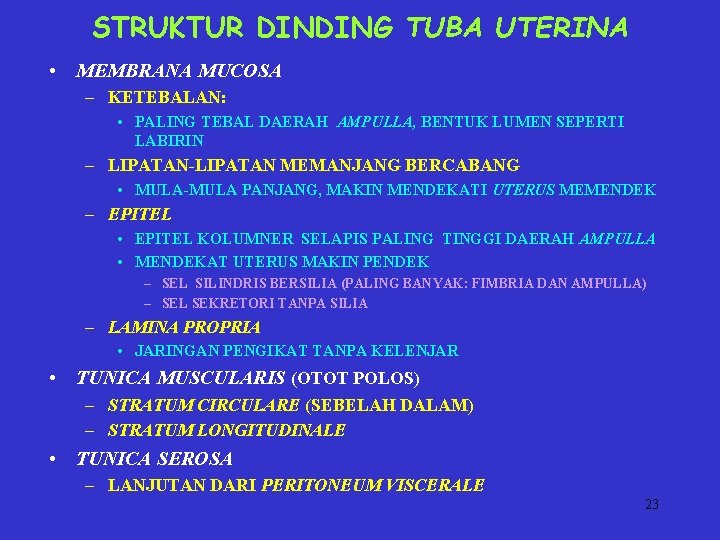 STRUKTUR DINDING TUBA UTERINA • MEMBRANA MUCOSA – KETEBALAN: • PALING TEBAL DAERAH AMPULLA,