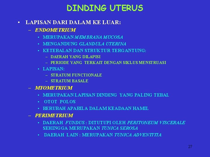 DINDING UTERUS • LAPISAN DARI DALAM KE LUAR: – ENDOMETRIUM • MERUPAKAN MEMBRANA MUCOSA