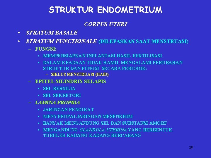 STRUKTUR ENDOMETRIUM CORPUS UTERI • STRATUM BASALE • STRATUM FUNCTIONALE (DILEPASKAN SAAT MENSTRUASI) –