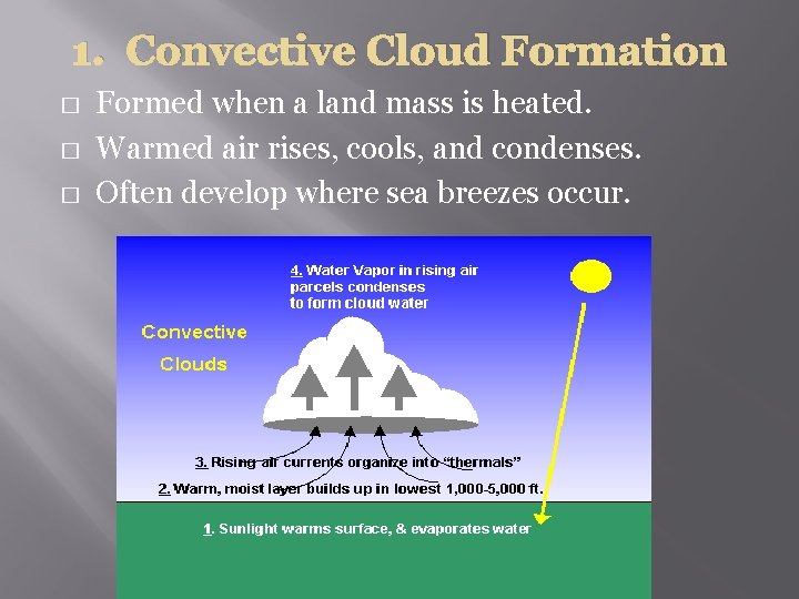 1. Convective Cloud Formation � � � Formed when a land mass is heated.