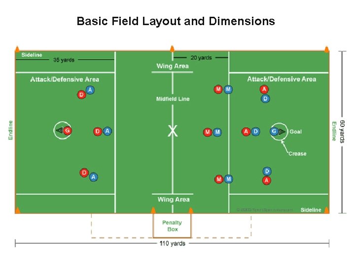 Basic Field Layout and Dimensions 