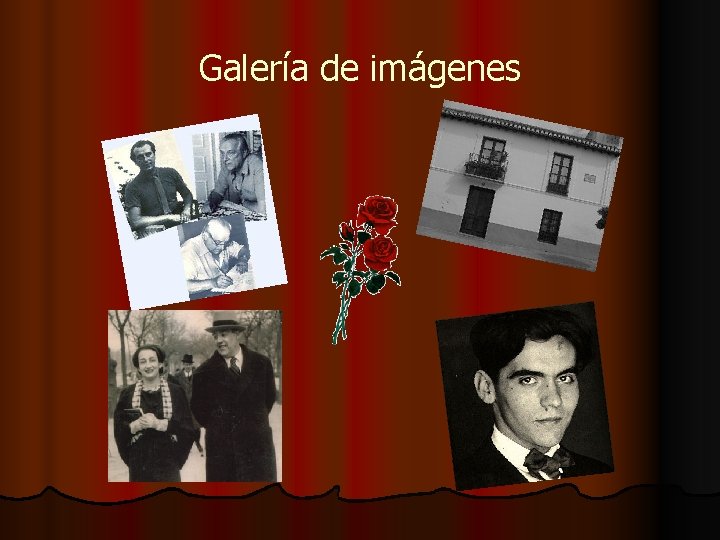 Galería de imágenes 