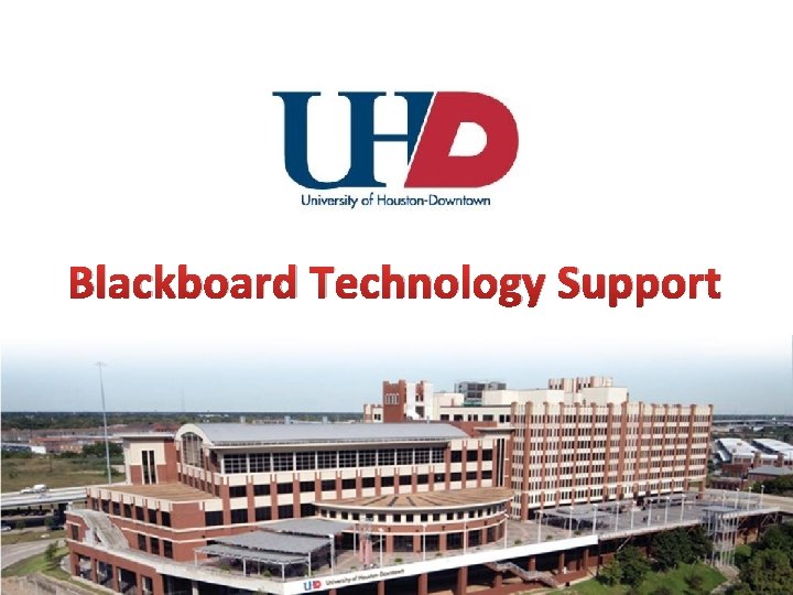 Blackboard Technology Support 