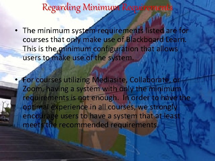 Regarding Minimum Requirements • The minimum system requirements listed are for courses that only