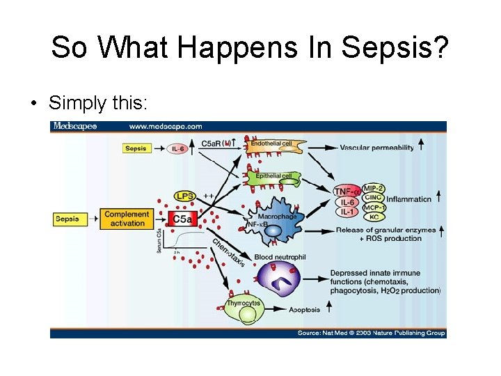 So What Happens In Sepsis? • Simply this: 