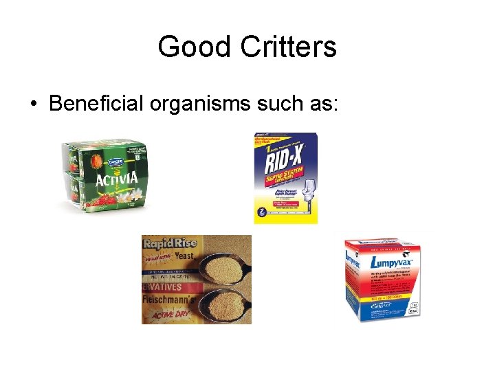 Good Critters • Beneficial organisms such as: 