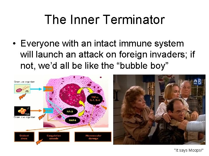 The Inner Terminator • Everyone with an intact immune system will launch an attack