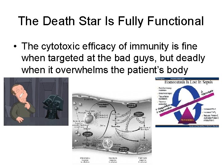 The Death Star Is Fully Functional • The cytotoxic efficacy of immunity is fine