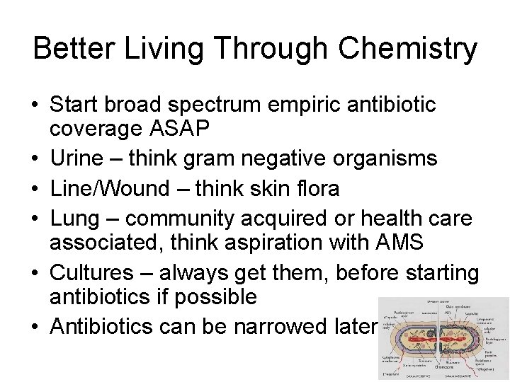 Better Living Through Chemistry • Start broad spectrum empiric antibiotic coverage ASAP • Urine