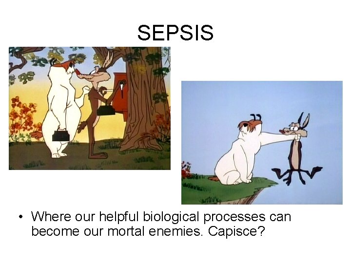 SEPSIS • Where our helpful biological processes can become our mortal enemies. Capisce? 