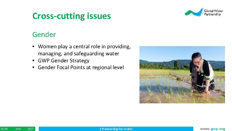 Cross-cutting issues Gender • Women play a central role in providing, managing, and safeguarding