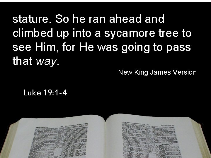 stature. So he ran ahead and climbed up into a sycamore tree to see