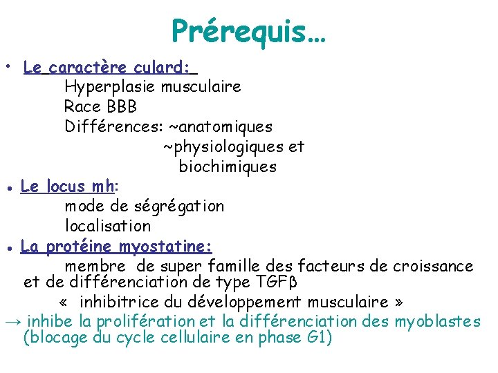 Prérequis… • Le caractère culard: Hyperplasie musculaire Race BBB Différences: ~anatomiques ~physiologiques et biochimiques