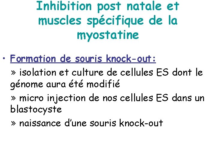 Inhibition post natale et muscles spécifique de la myostatine • Formation de souris knock-out: