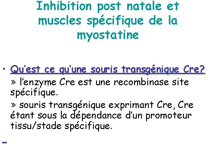Inhibition post natale et muscles spécifique de la myostatine • Qu’est ce qu’une souris