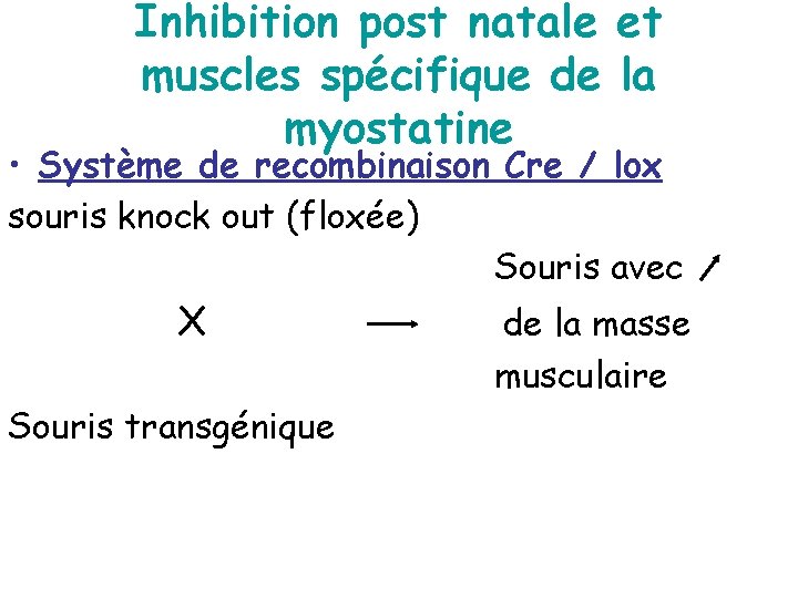 Inhibition post natale et muscles spécifique de la myostatine • Système de recombinaison Cre