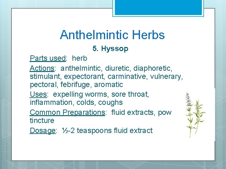 anthelmintic herbs)