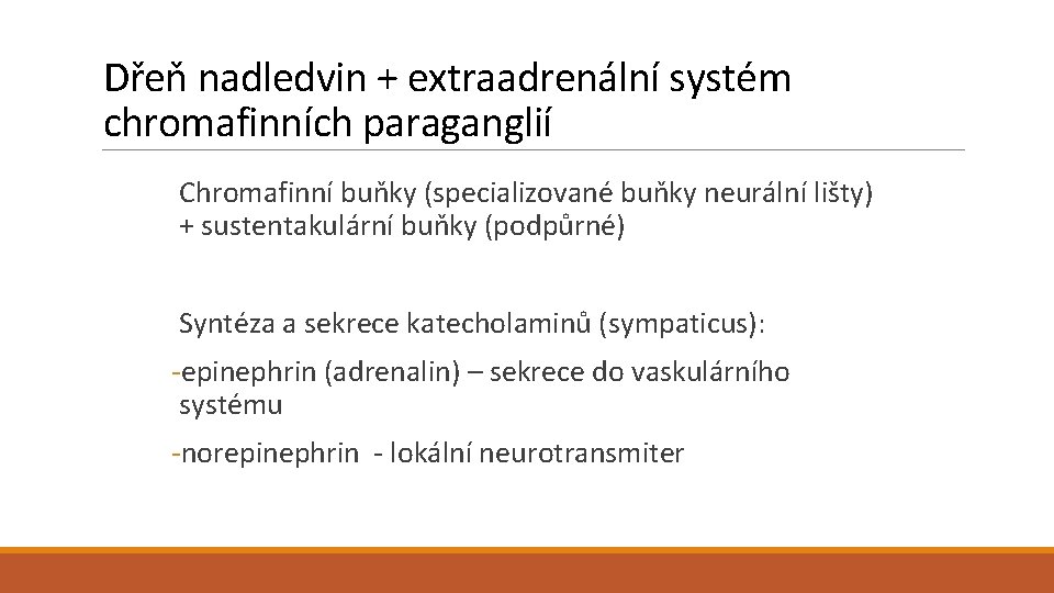 Dřeň nadledvin + extraadrenální systém chromafinních paraganglií Chromafinní buňky (specializované buňky neurální lišty) +