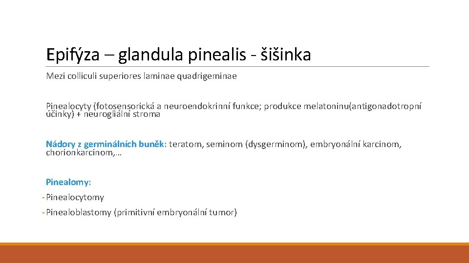 Epifýza – glandula pinealis - šišinka Mezi colliculi superiores laminae quadrigeminae Pinealocyty (fotosensorická a