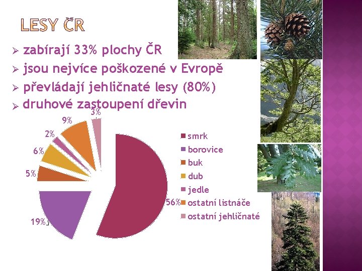 zabírají 33% plochy ČR Ø jsou nejvíce poškozené v Evropě Ø převládají jehličnaté lesy