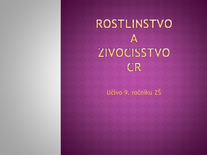 Učivo 9. ročníku ZŠ 