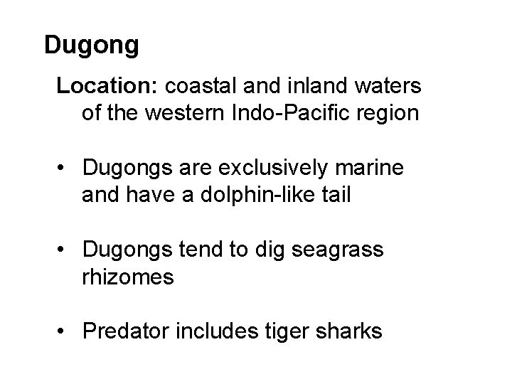 Dugong Location: coastal and inland waters of the western Indo-Pacific region • Dugongs are