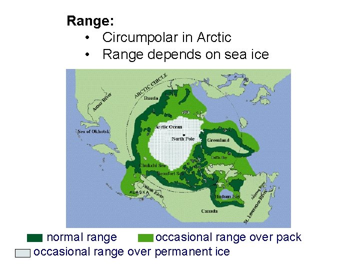 Range: • Circumpolar in Arctic • Range depends on sea ice • normal range