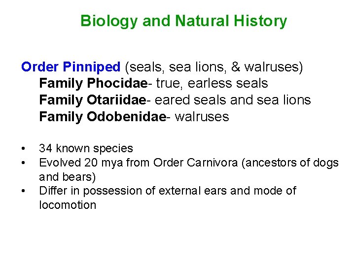 Biology and Natural History Order Pinniped (seals, sea lions, & walruses) Family Phocidae- true,