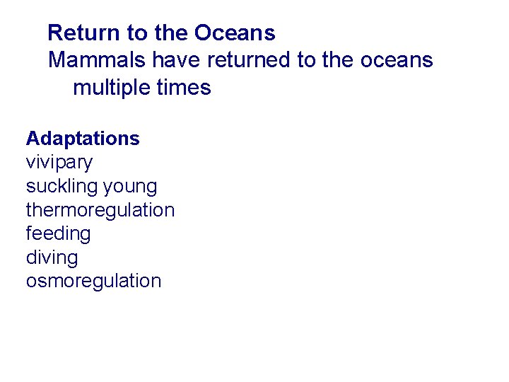 Return to the Oceans Mammals have returned to the oceans multiple times Adaptations vivipary