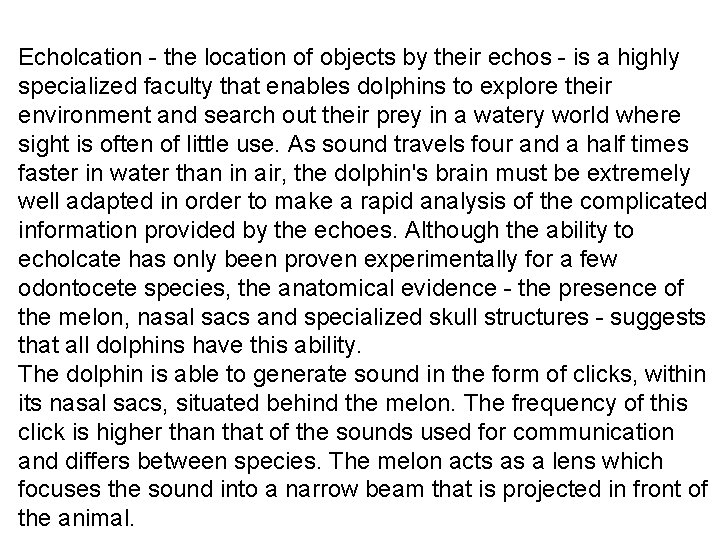 Echolcation - the location of objects by their echos - is a highly specialized