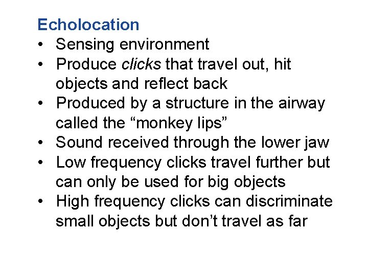 Echolocation • Sensing environment • Produce clicks that travel out, hit objects and reflect